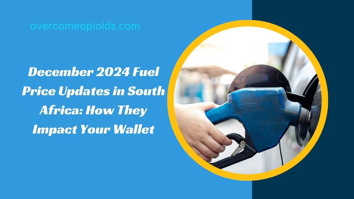 December 2024 Fuel Price Updates in South Africa: How They Impact Your Wallet