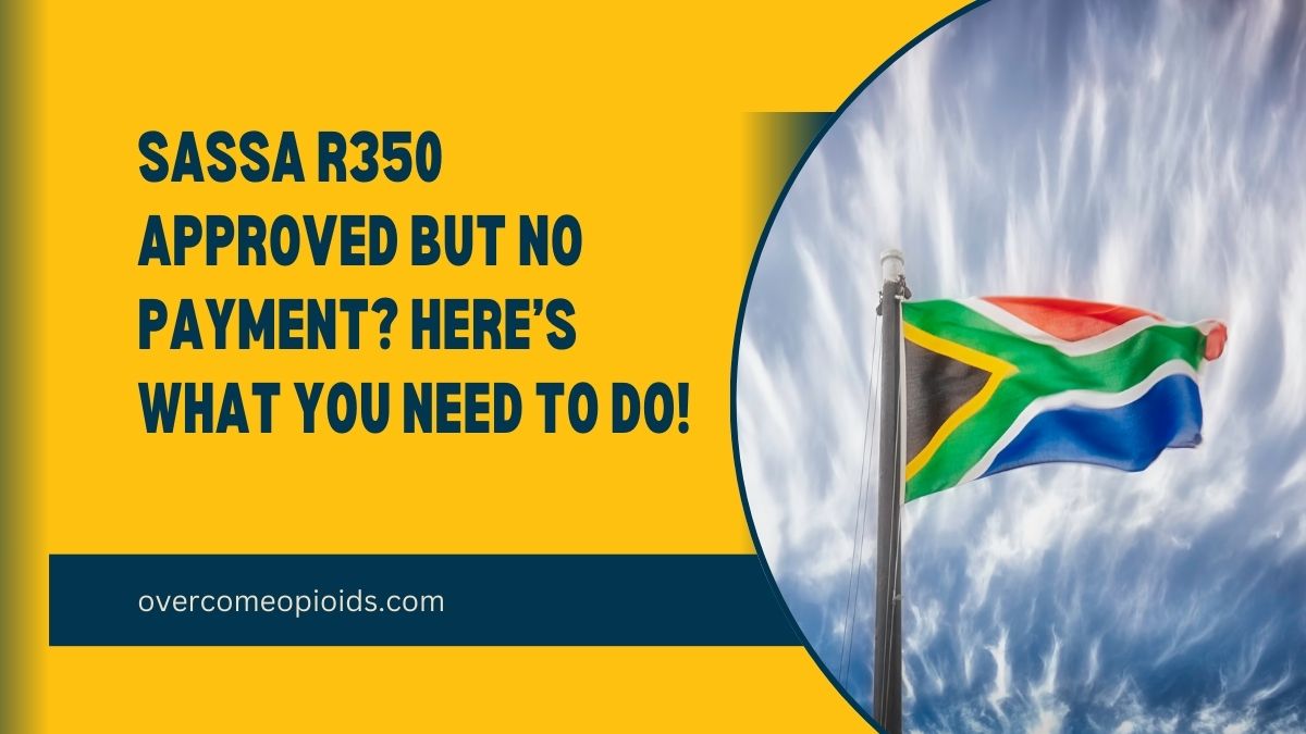 SASSA R350 Approved but No Payment? Here’s What You Need to Do!