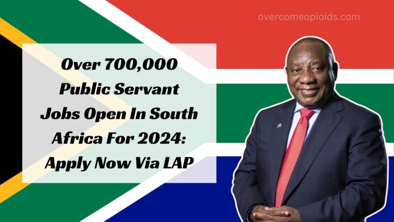 Over 700,000 Public Servant Jobs Open In South Africa For 2024: Apply Now Via LAP